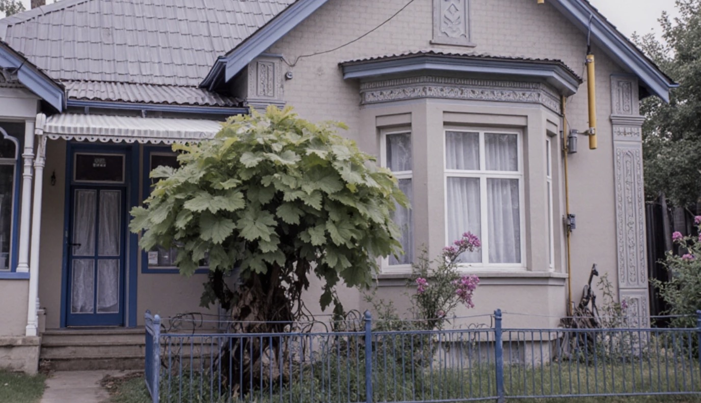 Dom mojej mamy stoi dosłownie na sąsiedniej ulicy. A jednak od siedmiu lat nikt tam na mnie nie czeka. Teraz rządzi tam moja siostra — ta sama, która od lat nie chce ze mną mieć nic wspólnego. Wszystko przez spadek. Ale czy to naprawdę moja wina, iż jej życie potoczyło się inaczej?